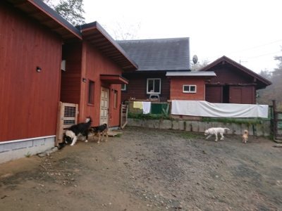 f:id:roukenhome-ann:20181122083711j:plain