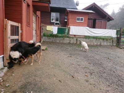 f:id:roukenhome-ann:20181122083750j:plain