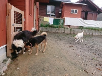 f:id:roukenhome-ann:20181122083754j:plain