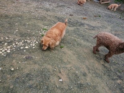 f:id:roukenhome-ann:20181122083816j:plain