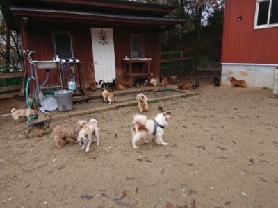 f:id:roukenhome-ann:20181122083913j:plain
