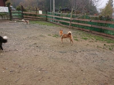 f:id:roukenhome-ann:20181122083949j:plain