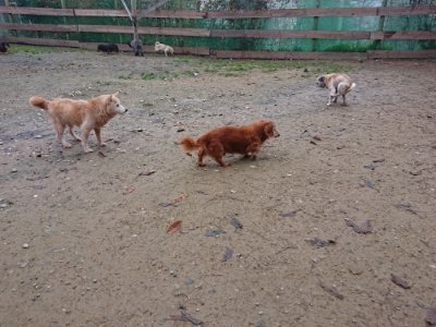 f:id:roukenhome-ann:20181122084019j:plain