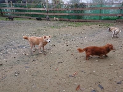 f:id:roukenhome-ann:20181122084044j:plain
