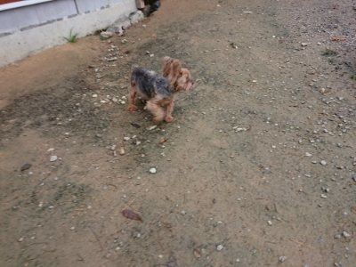 f:id:roukenhome-ann:20181122084048j:plain