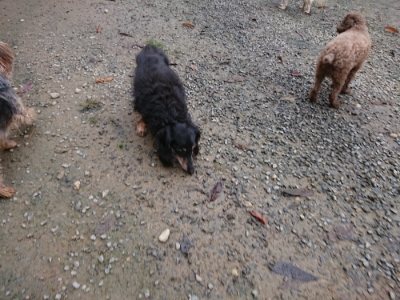 f:id:roukenhome-ann:20181122084100j:plain