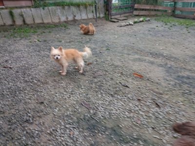 f:id:roukenhome-ann:20181122084124j:plain