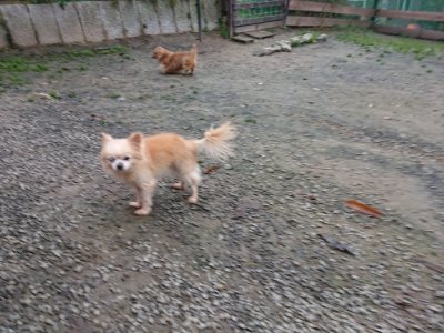 f:id:roukenhome-ann:20181122084146j:plain