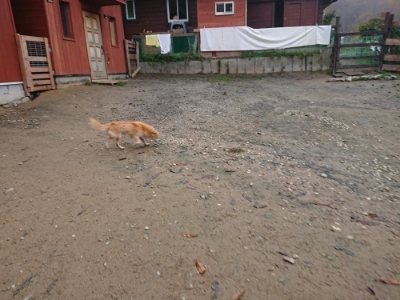 f:id:roukenhome-ann:20181122084208j:plain