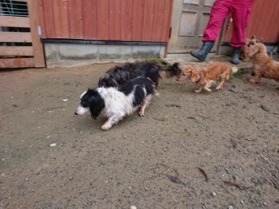 f:id:roukenhome-ann:20181122084217j:plain