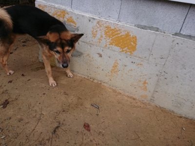 f:id:roukenhome-ann:20181122084226j:plain
