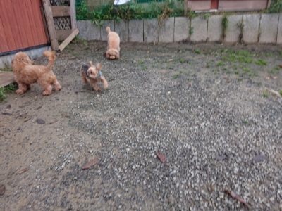 f:id:roukenhome-ann:20181122084256j:plain