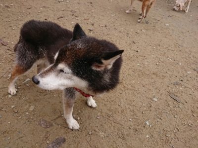 f:id:roukenhome-ann:20181122084309j:plain