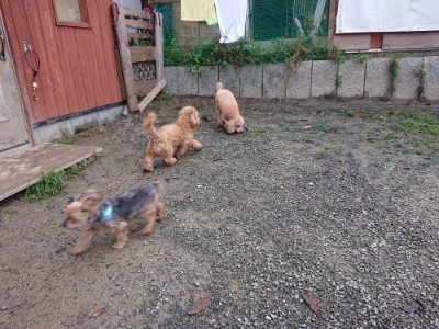 f:id:roukenhome-ann:20181122084324j:plain