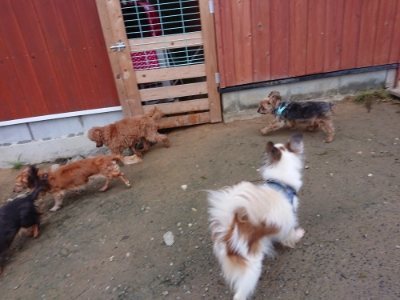 f:id:roukenhome-ann:20181122084328j:plain