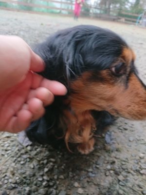 f:id:roukenhome-ann:20181122084355j:plain