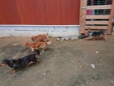 f:id:roukenhome-ann:20181122084400j:plain