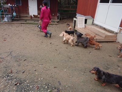 f:id:roukenhome-ann:20181122084454j:plain