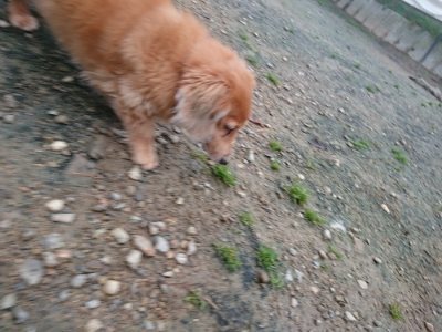 f:id:roukenhome-ann:20181122084551j:plain