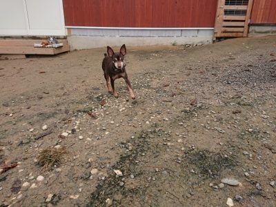 f:id:roukenhome-ann:20181122084740j:plain