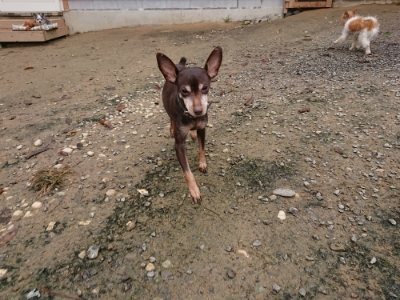 f:id:roukenhome-ann:20181122084745j:plain