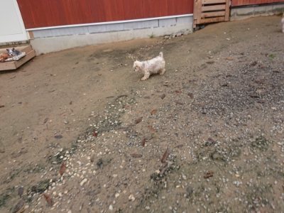 f:id:roukenhome-ann:20181122084815j:plain