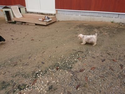 f:id:roukenhome-ann:20181122084821j:plain