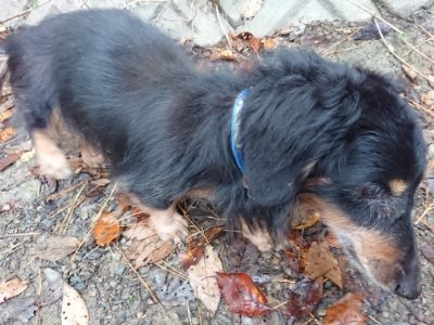 f:id:roukenhome-ann:20181122084912j:plain