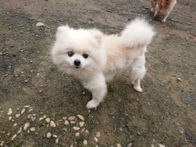 f:id:roukenhome-ann:20181122085024j:plain
