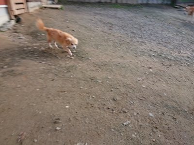 f:id:roukenhome-ann:20181123053624j:plain
