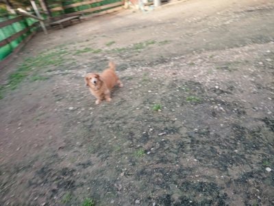 f:id:roukenhome-ann:20181123053636j:plain