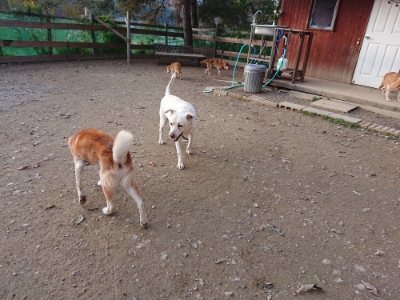 f:id:roukenhome-ann:20181123053657j:plain