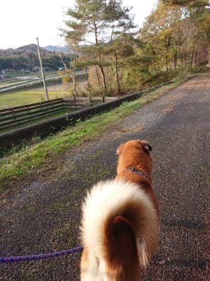 f:id:roukenhome-ann:20181123053725j:plain