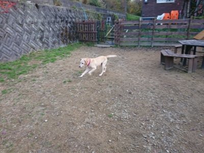 f:id:roukenhome-ann:20181123053744j:plain