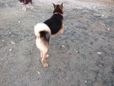 f:id:roukenhome-ann:20181123053804j:plain