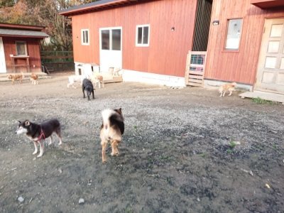 f:id:roukenhome-ann:20181123053812j:plain