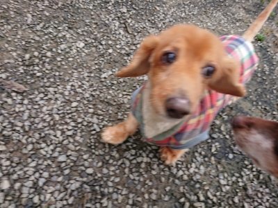 f:id:roukenhome-ann:20181123053917j:plain