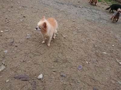 f:id:roukenhome-ann:20181123053931j:plain