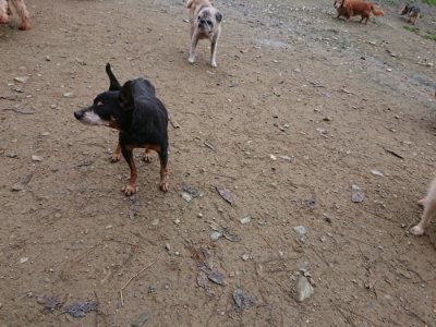 f:id:roukenhome-ann:20181123053936j:plain