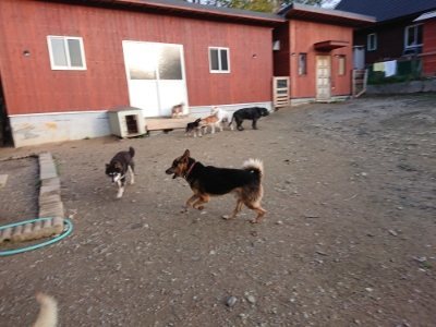 f:id:roukenhome-ann:20181123054001j:plain