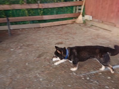 f:id:roukenhome-ann:20181123054021j:plain