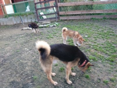 f:id:roukenhome-ann:20181123054225j:plain