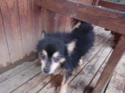 f:id:roukenhome-ann:20181123054306j:plain