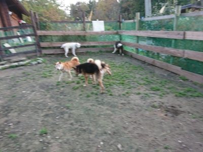 f:id:roukenhome-ann:20181123054409j:plain
