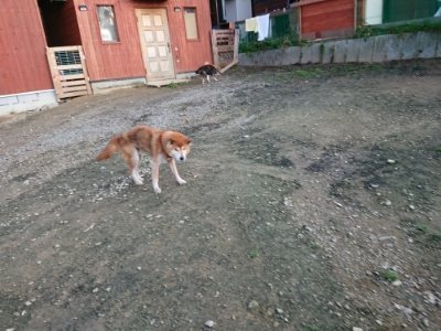 f:id:roukenhome-ann:20181123054414j:plain