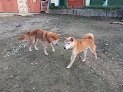 f:id:roukenhome-ann:20181123054450j:plain