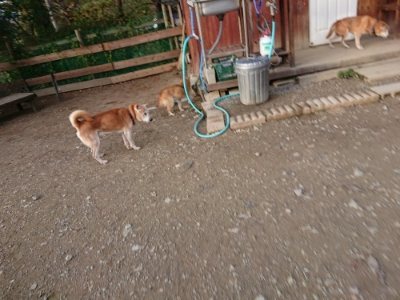 f:id:roukenhome-ann:20181123054505j:plain