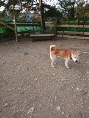 f:id:roukenhome-ann:20181123054527j:plain