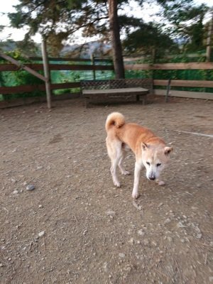 f:id:roukenhome-ann:20181123054531j:plain