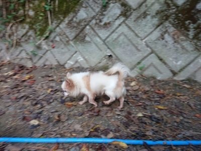 f:id:roukenhome-ann:20181123054622j:plain